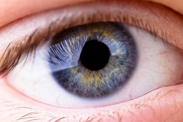 Medio millón de personas en España están en riesgo de desarrollar glaucoma