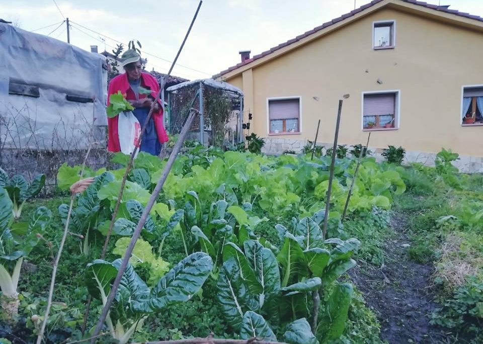 La Xunta creará cuatro proyectos de ‘cohousing’ en aldeas abandonadas