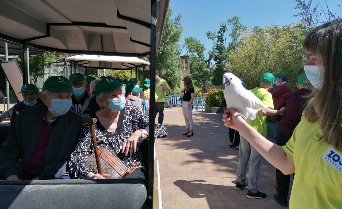 Primera salida grupal en pandemia de mayores residentes al zoo de Madrid